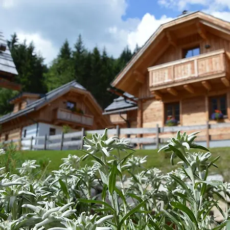 Bergdorf Riesner Donnersbachwald