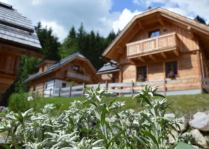 Bergdorf Riesner Donnersbachwald